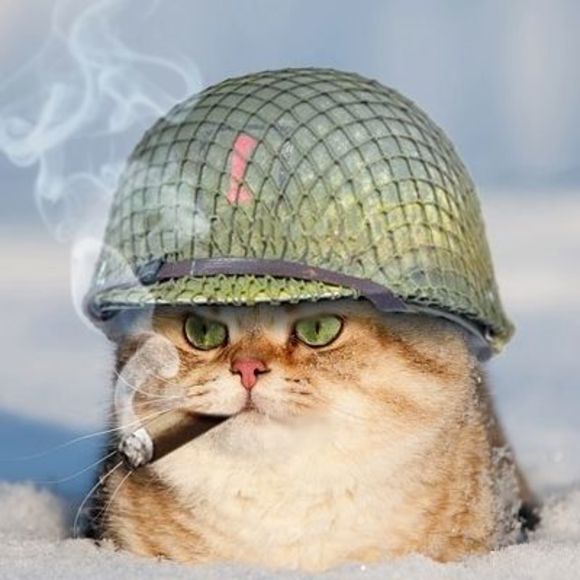 Meet your Posher, Alex - Picture 1 of 1